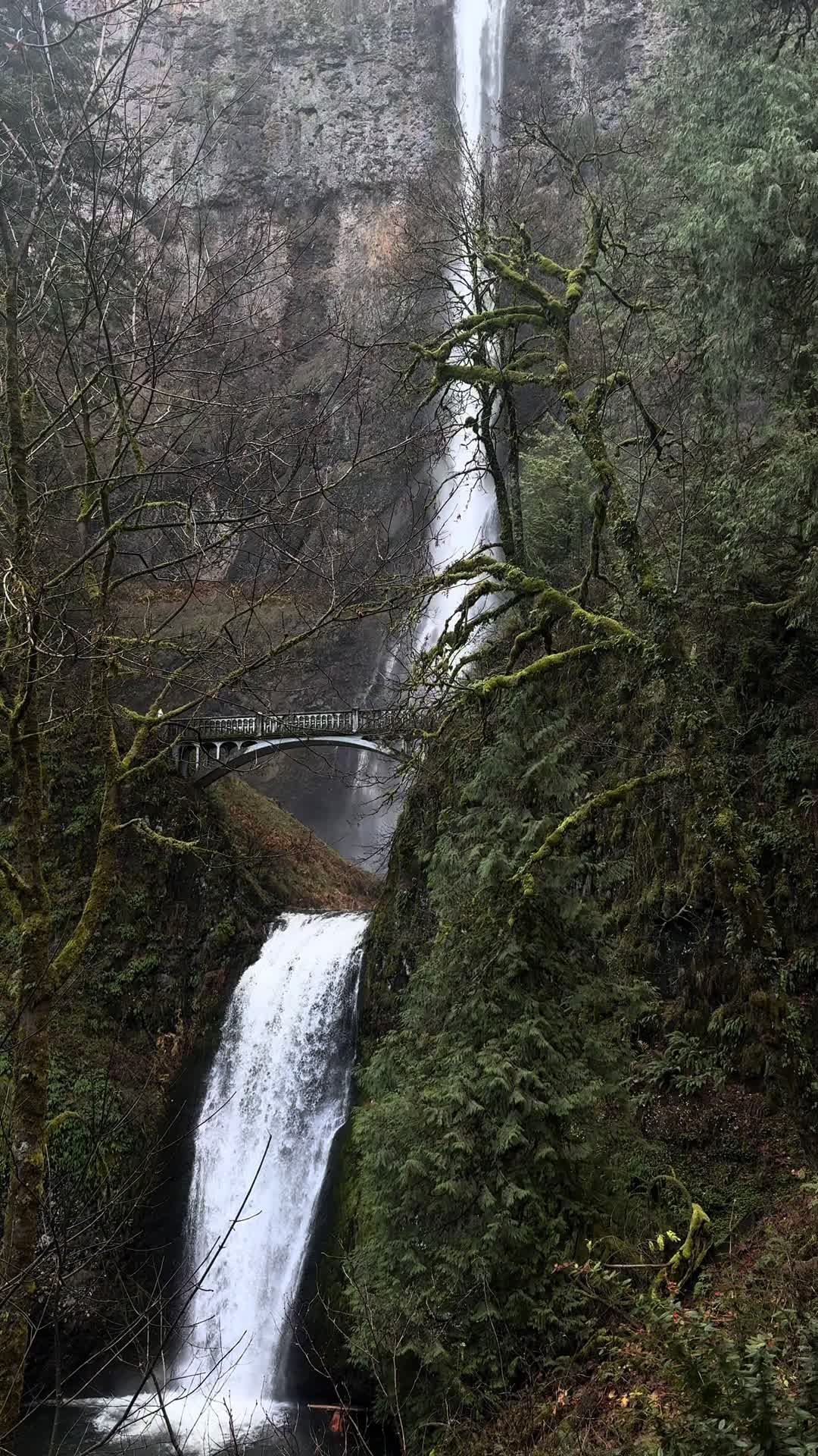 Multnomah Falls