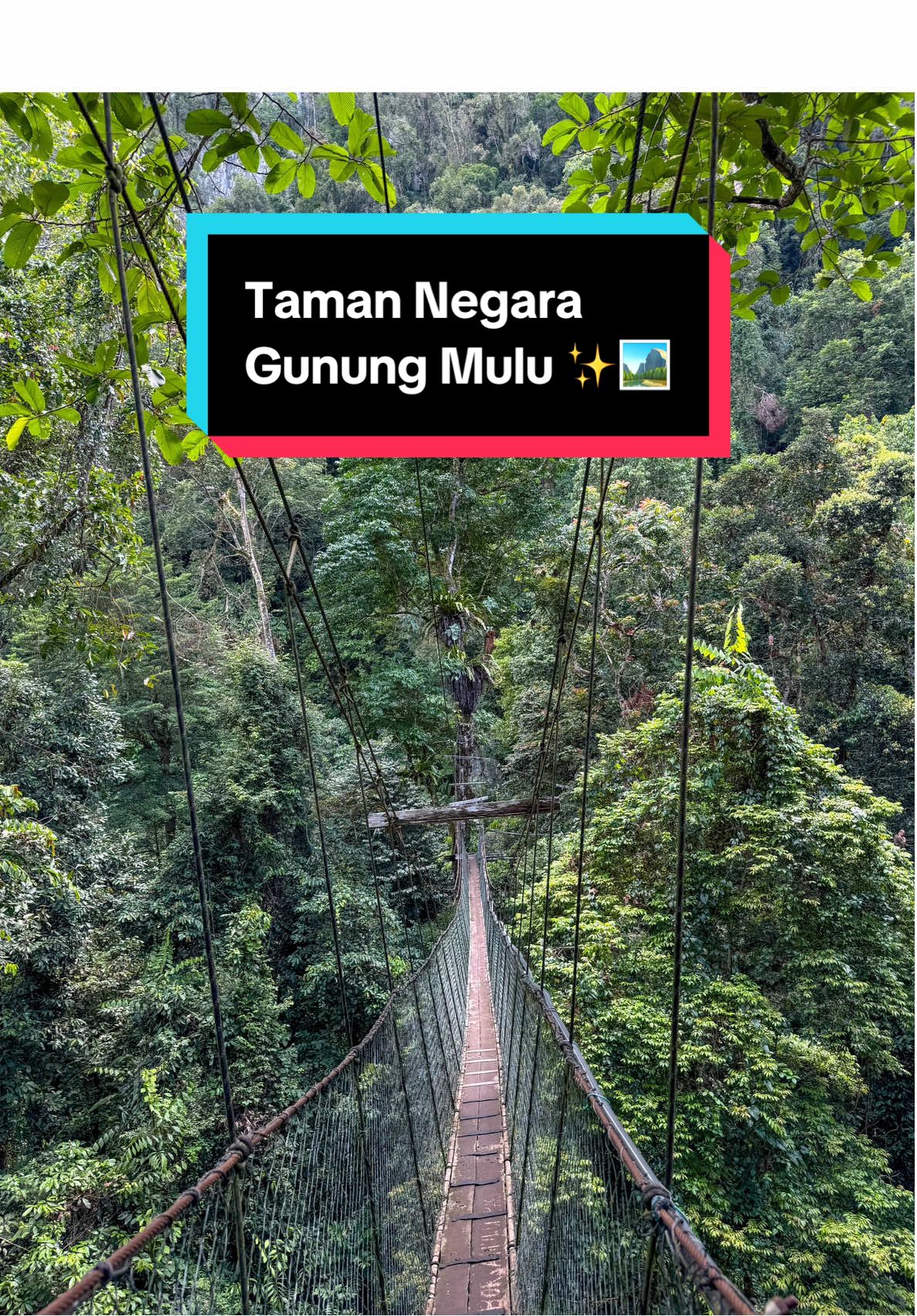 Mulu National Park