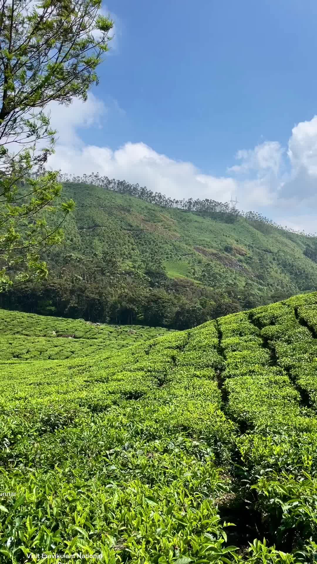 Munnar