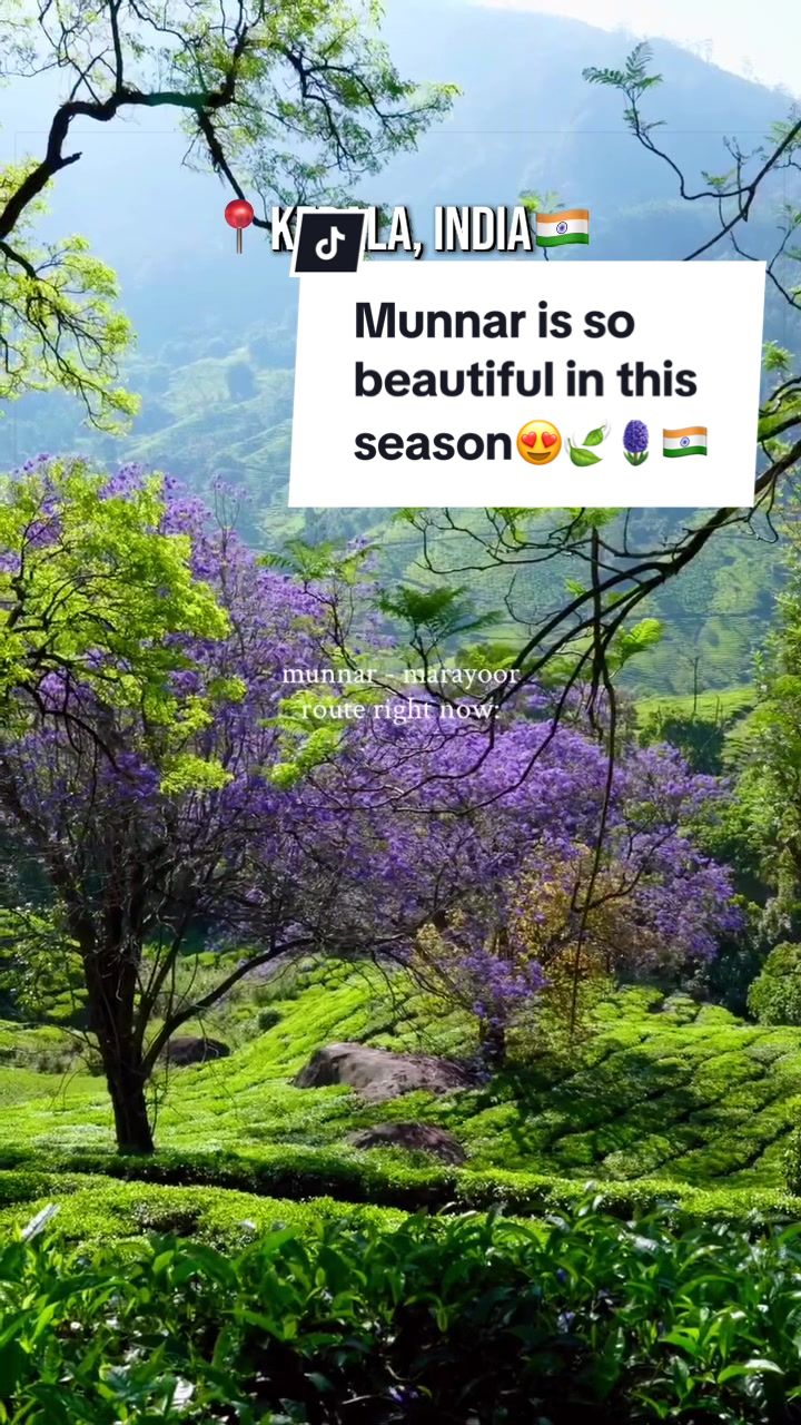 Munnar