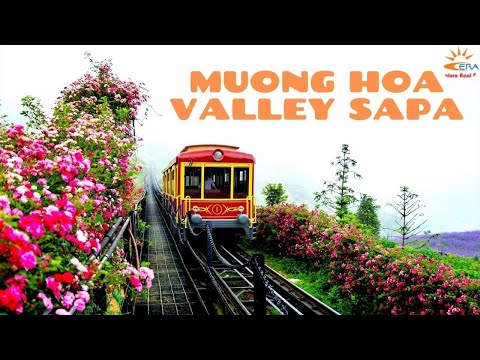 Muong Hoa Valley