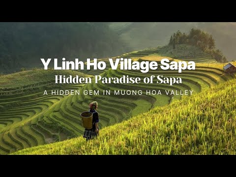 Muong Hoa Valley