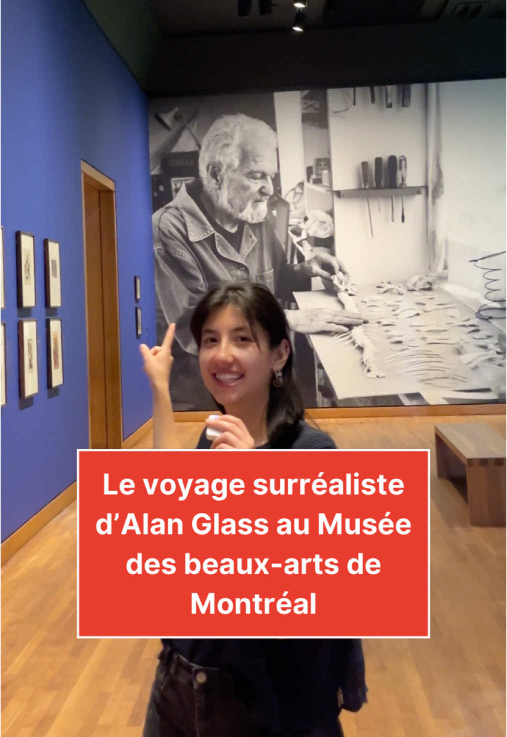 Musée des beaux-arts de Montréal (MBAM)