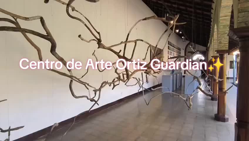 Museo de Arte Fundacion Ortiz-Gurdian