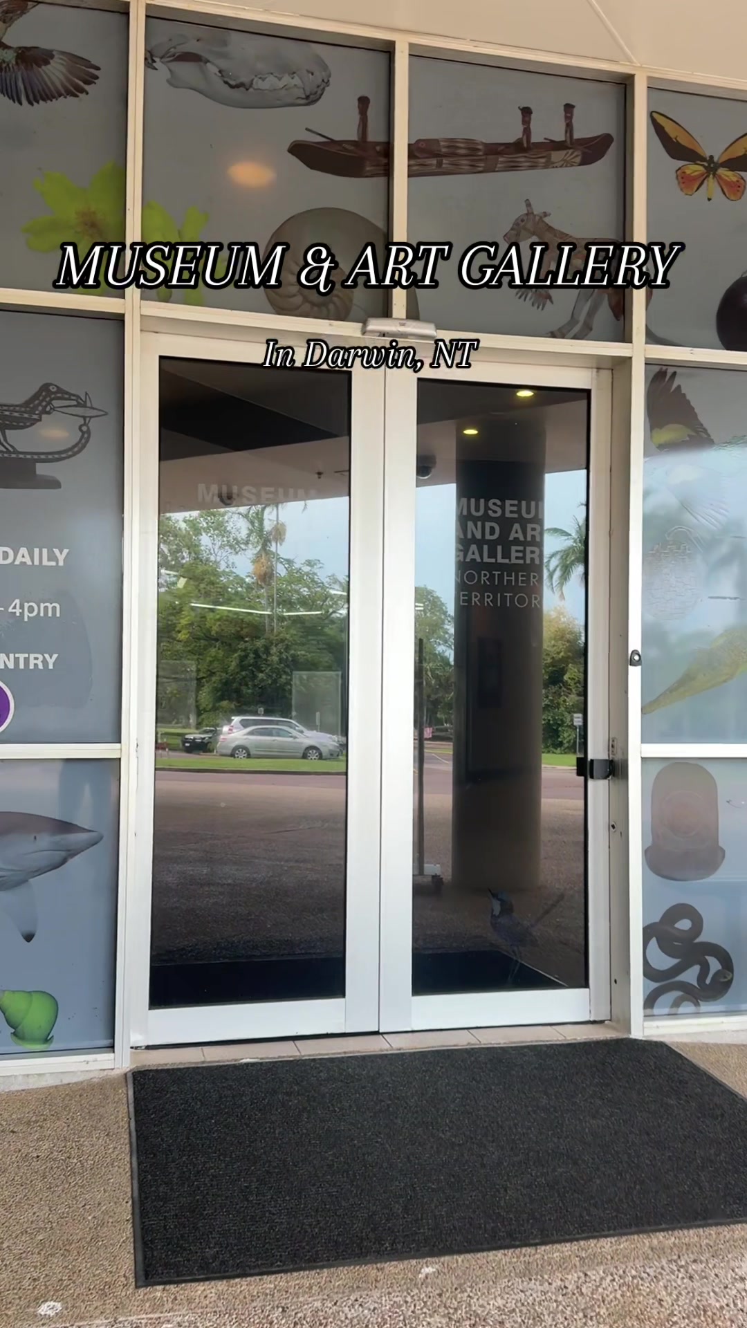 Museum and Art Gallery of the Northern Territory