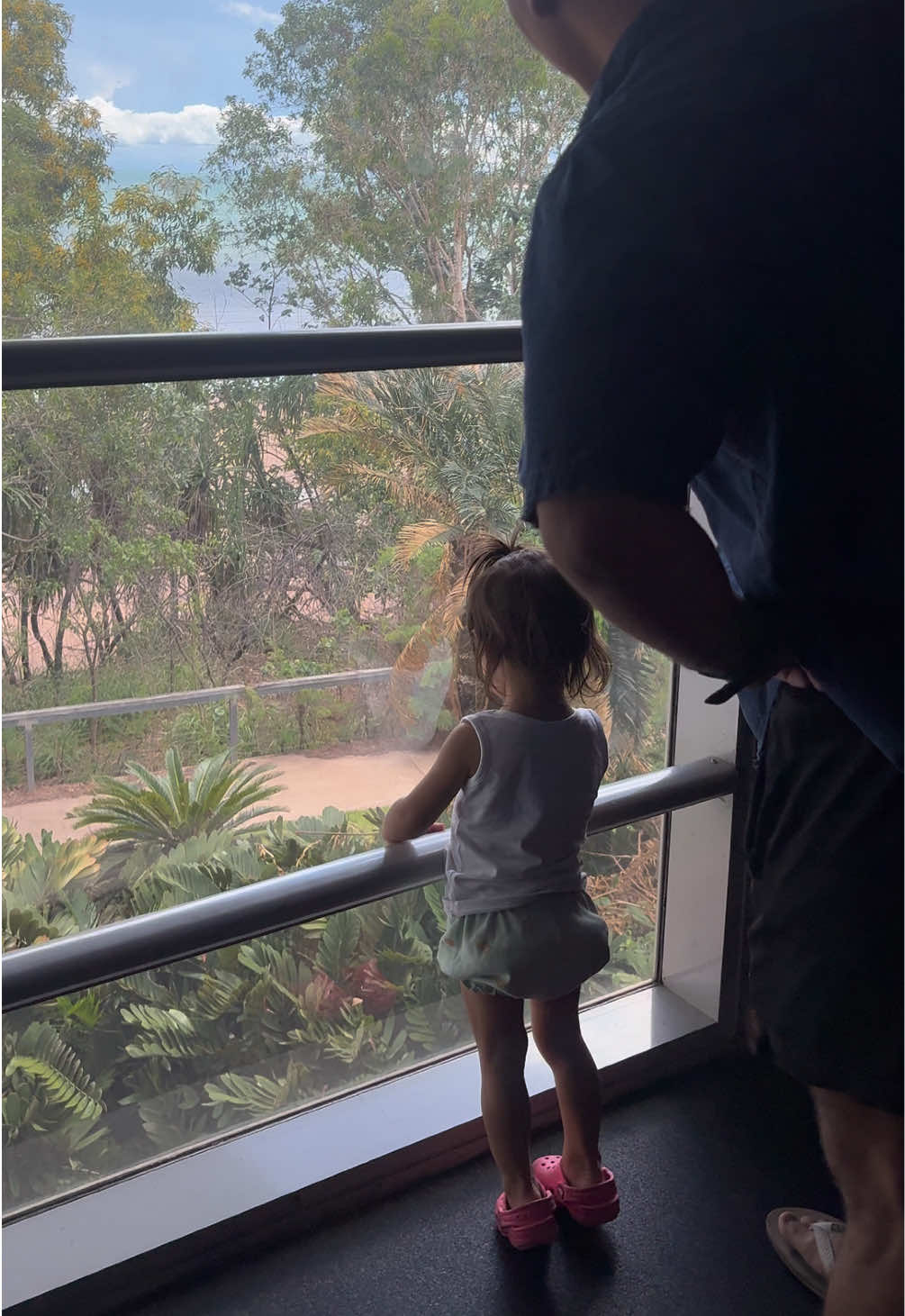 Museum and Art Gallery of the Northern Territory