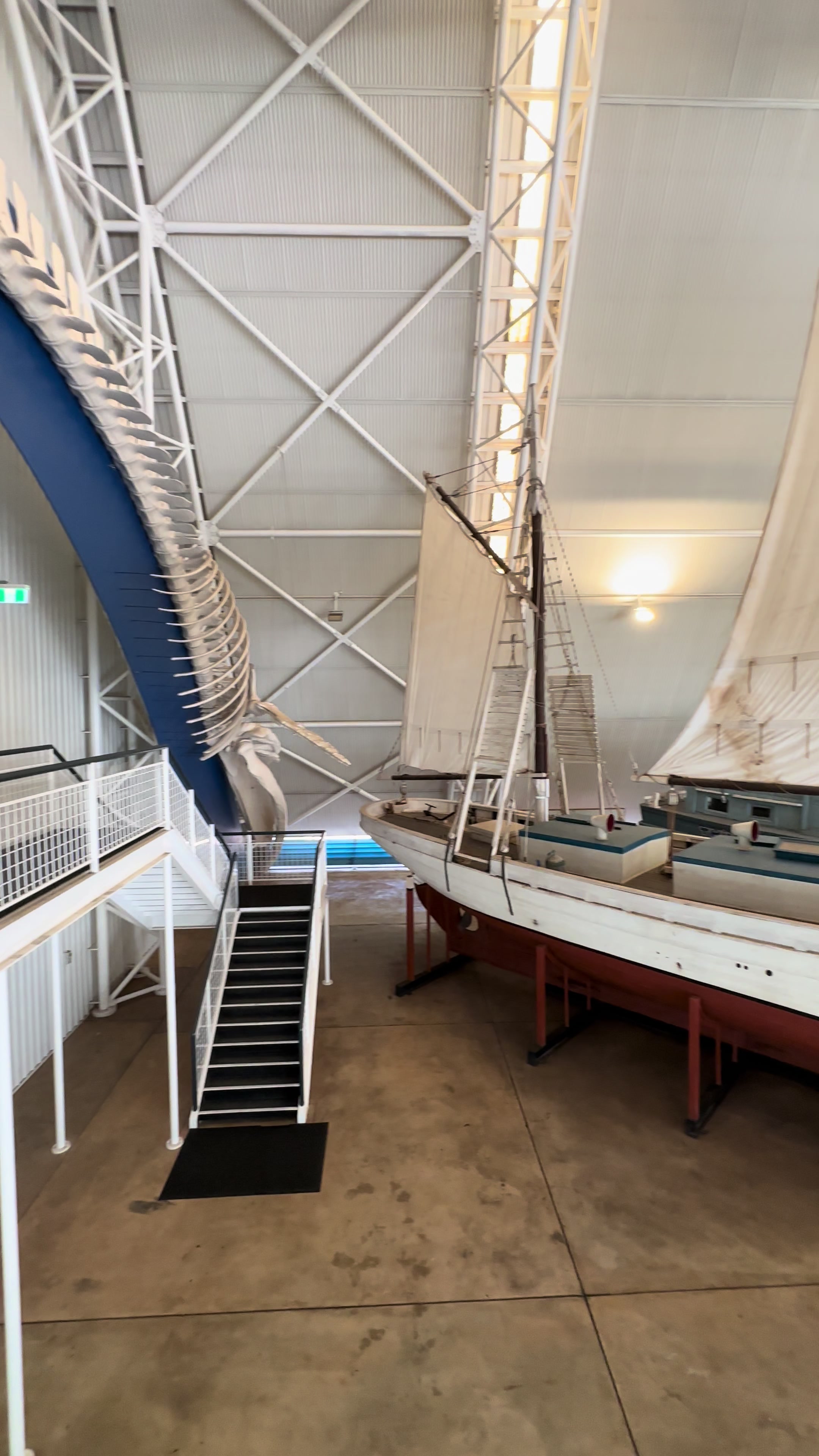 Museum and Art Gallery of the Northern Territory