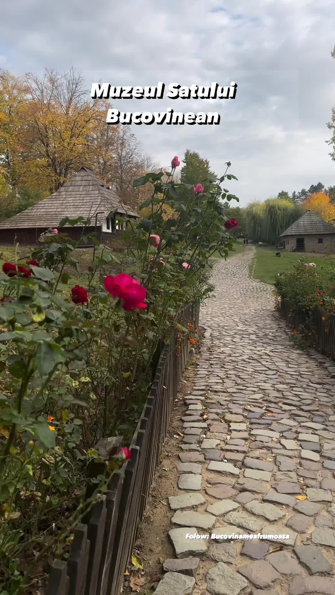 Музей народного искусства (Muzeul Satului Bucovinean)