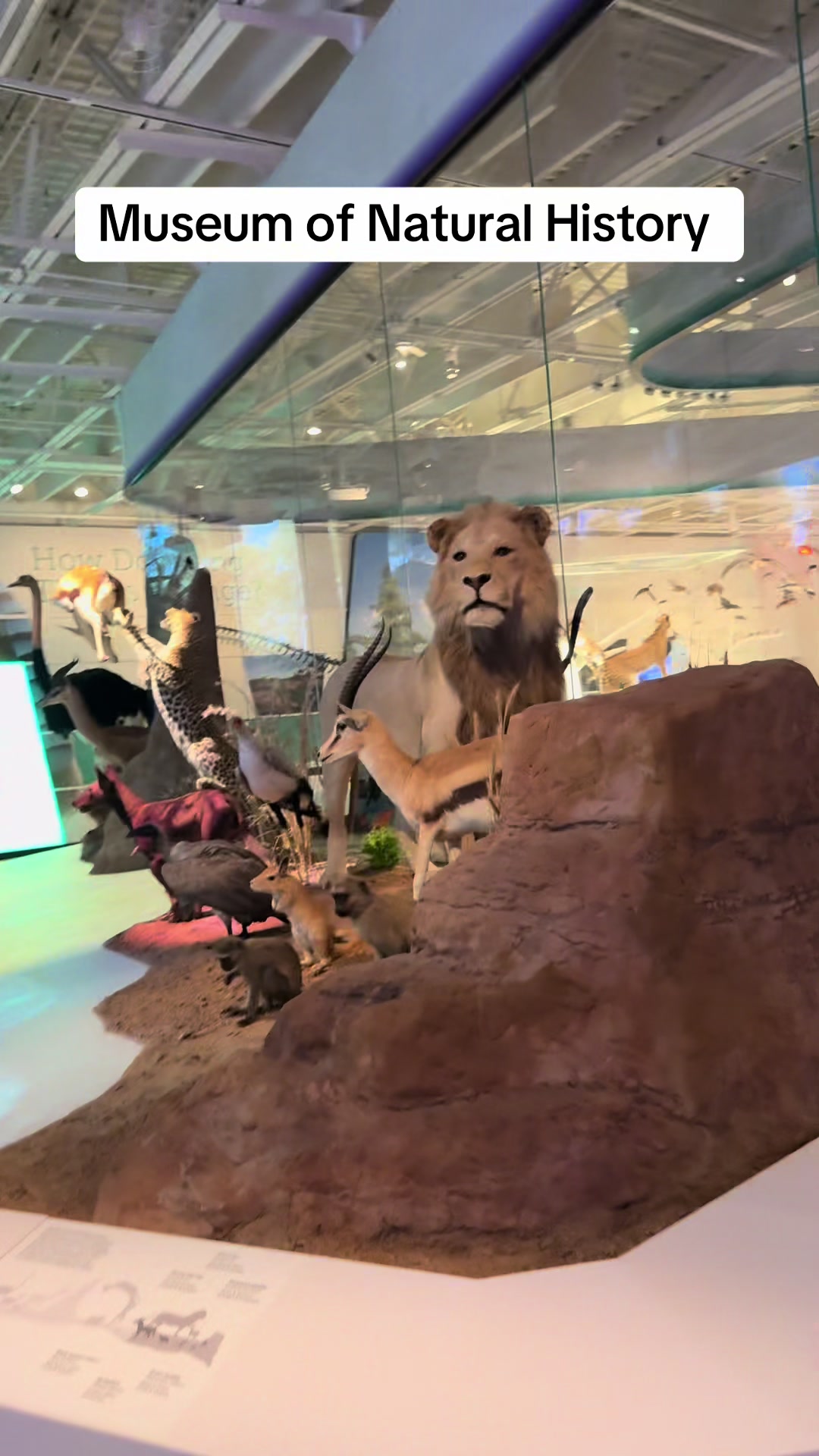 Музей природы Латвии (Latvian Museum of Natural History)