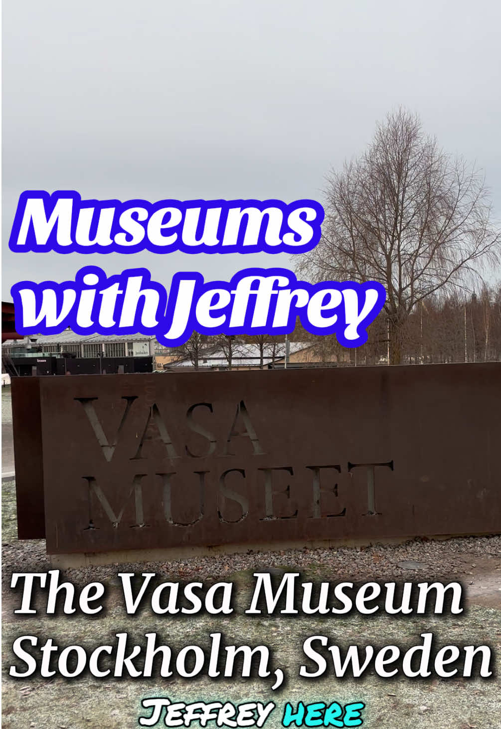 Музей Васа (Vasa Museum)