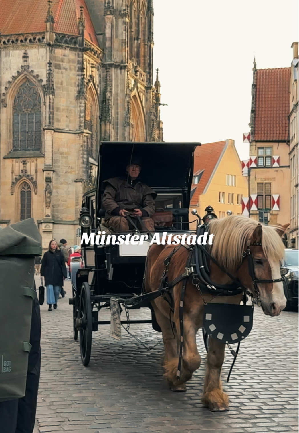מונחיין (Münster) – העיר העתיקה והכנסיות
