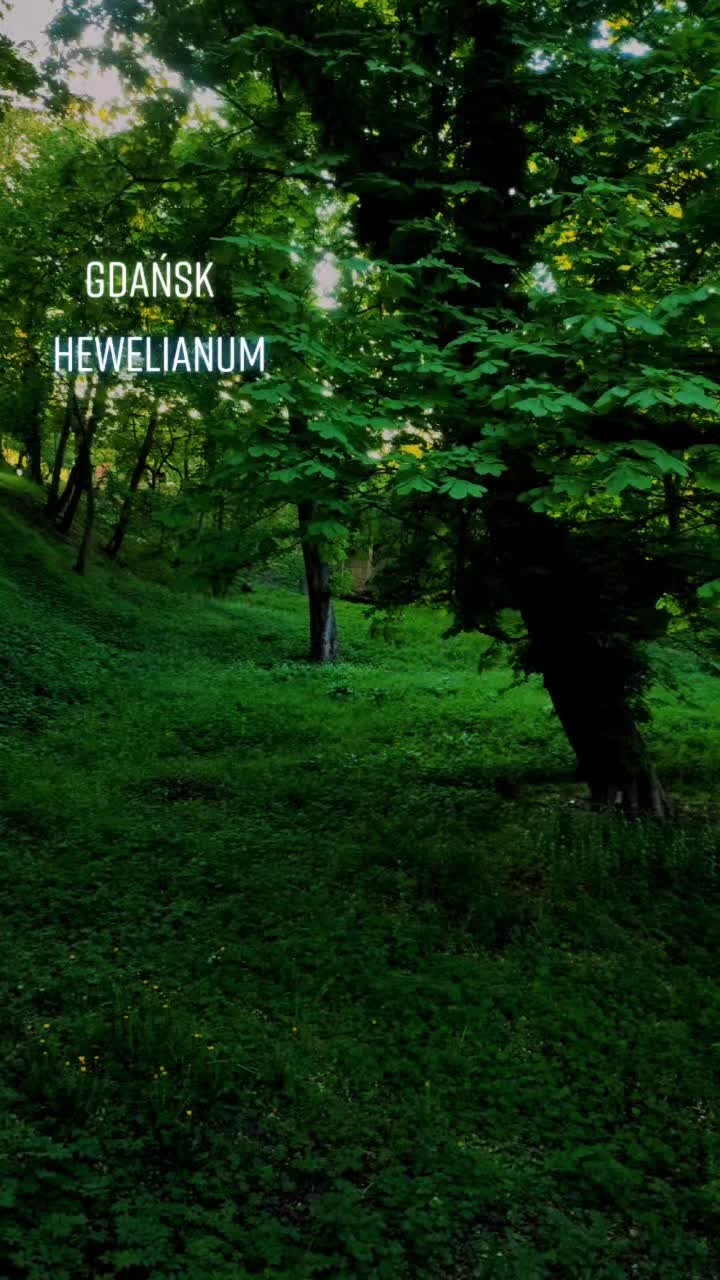 מוזיאון עולם החוויות (Hevelianum)