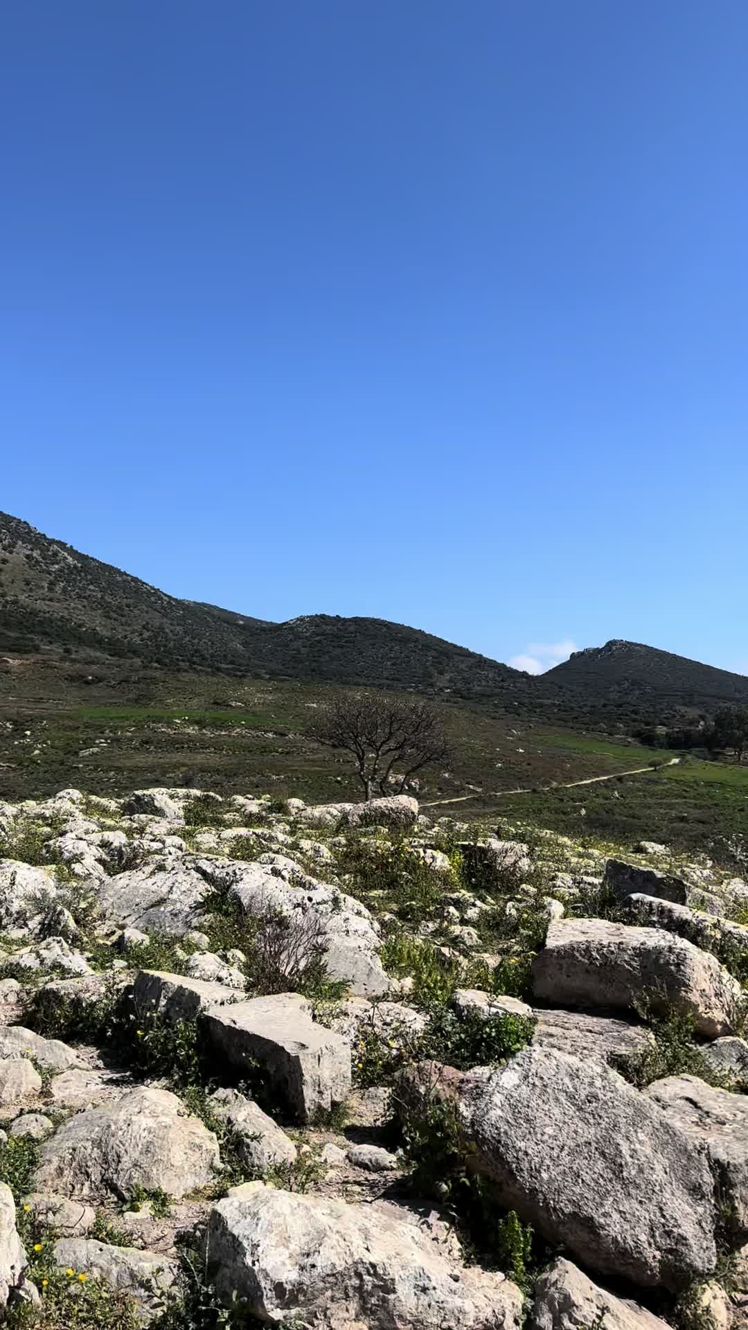 Mycenae