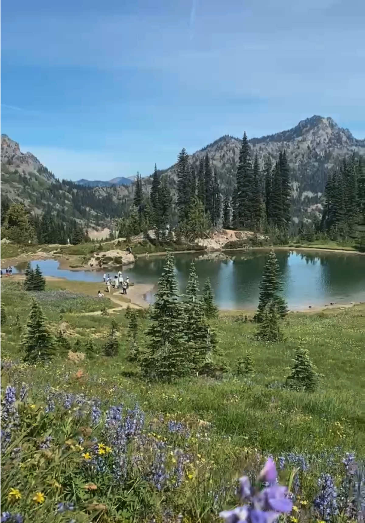 Naches Peak Loop Trail