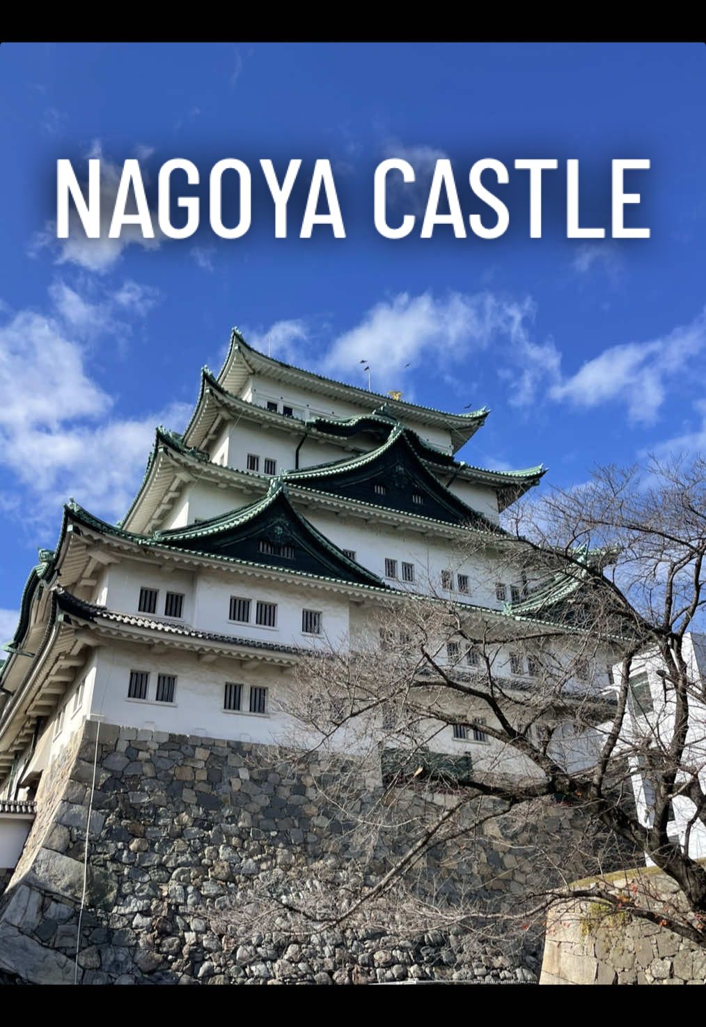 Nagoya Castle