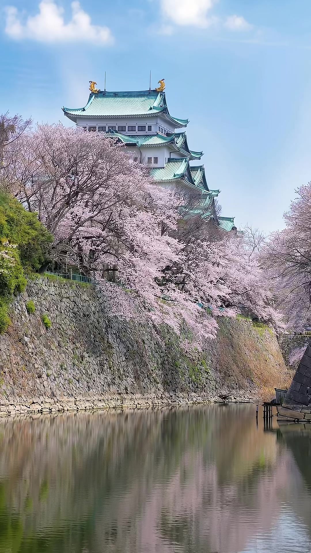 Nagoya Castle