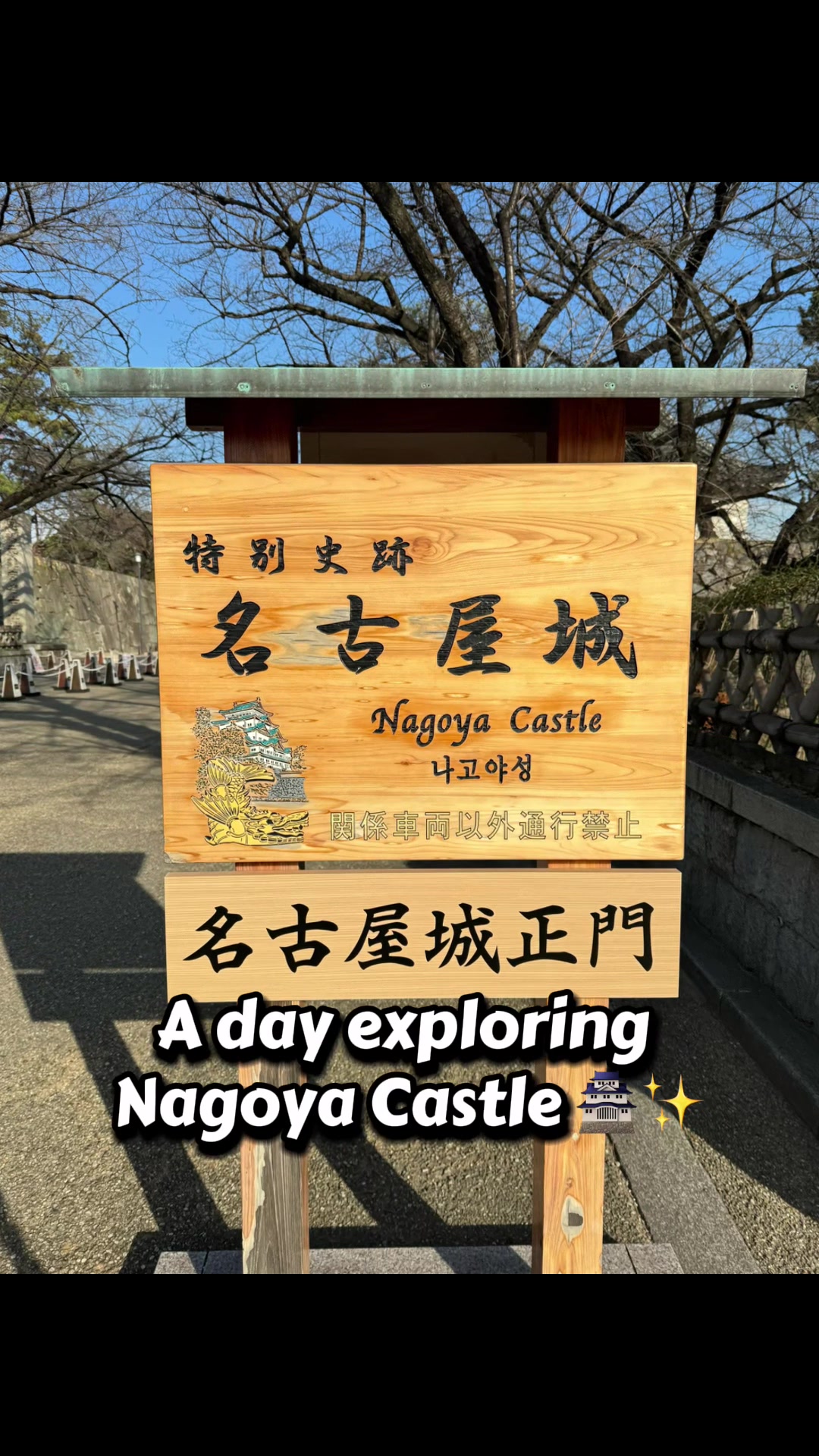 Nagoya Castle