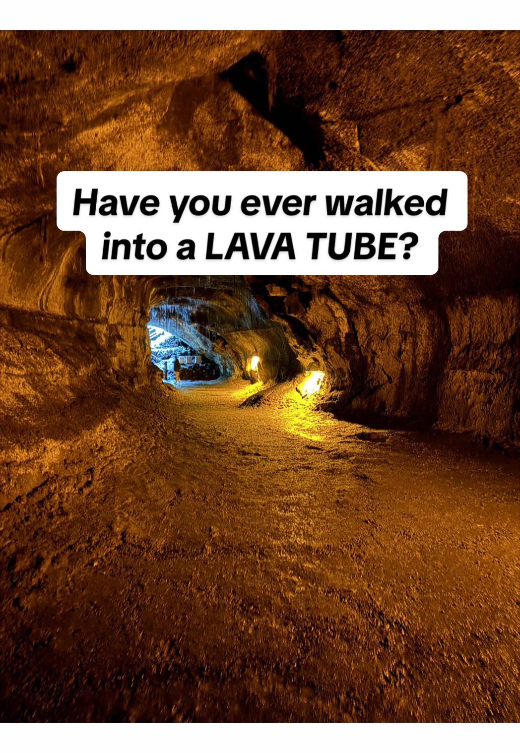 Nahuku - Thurston Lava Tube