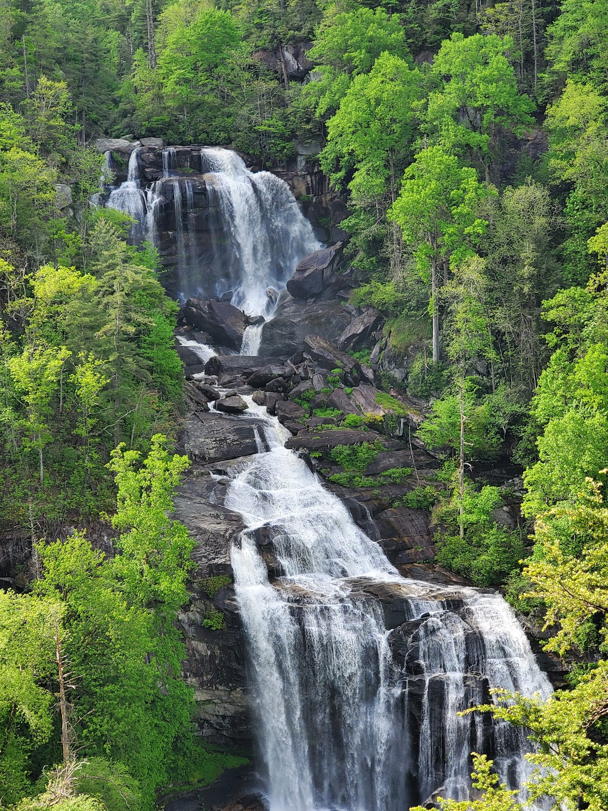 Nantahala National Forest