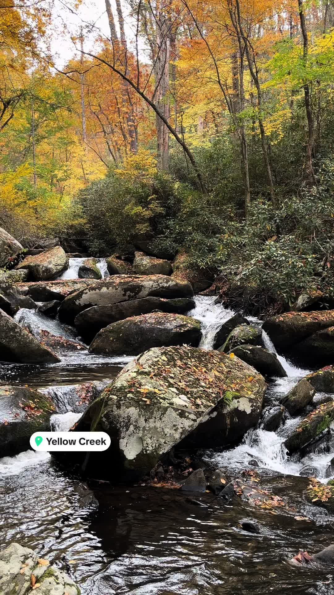 Nantahala National Forest