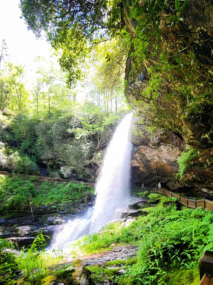 Nantahala National Forest