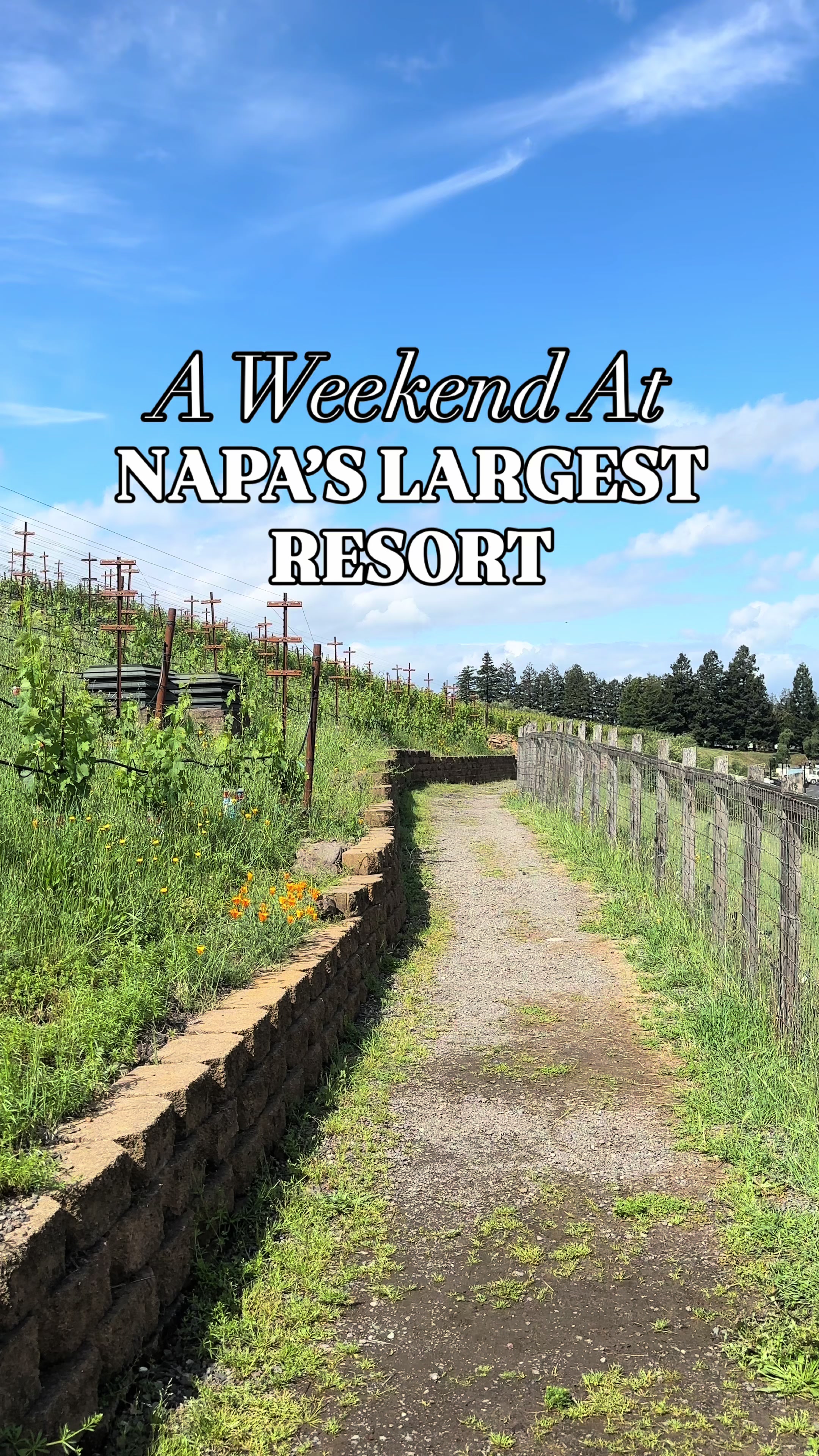 Napa Valley