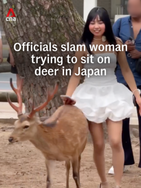 Nara Park