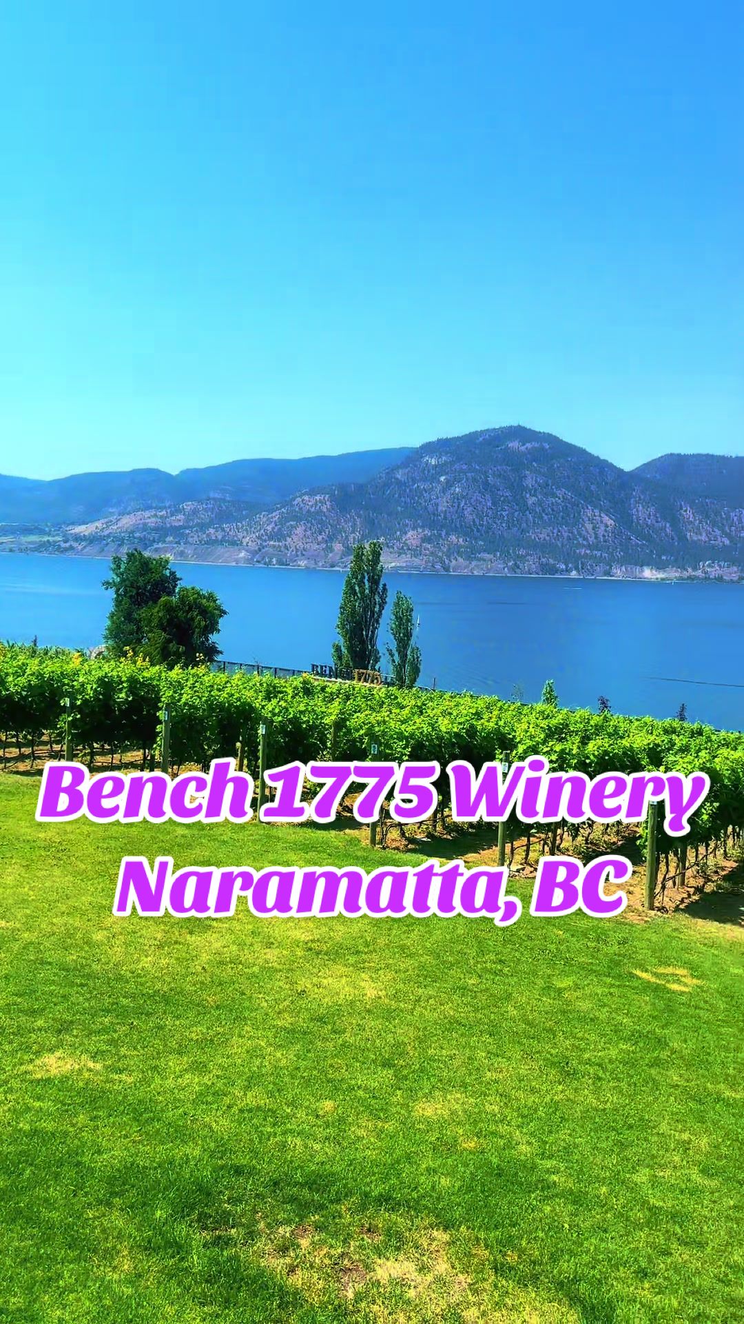 Naramata Bench Wineries