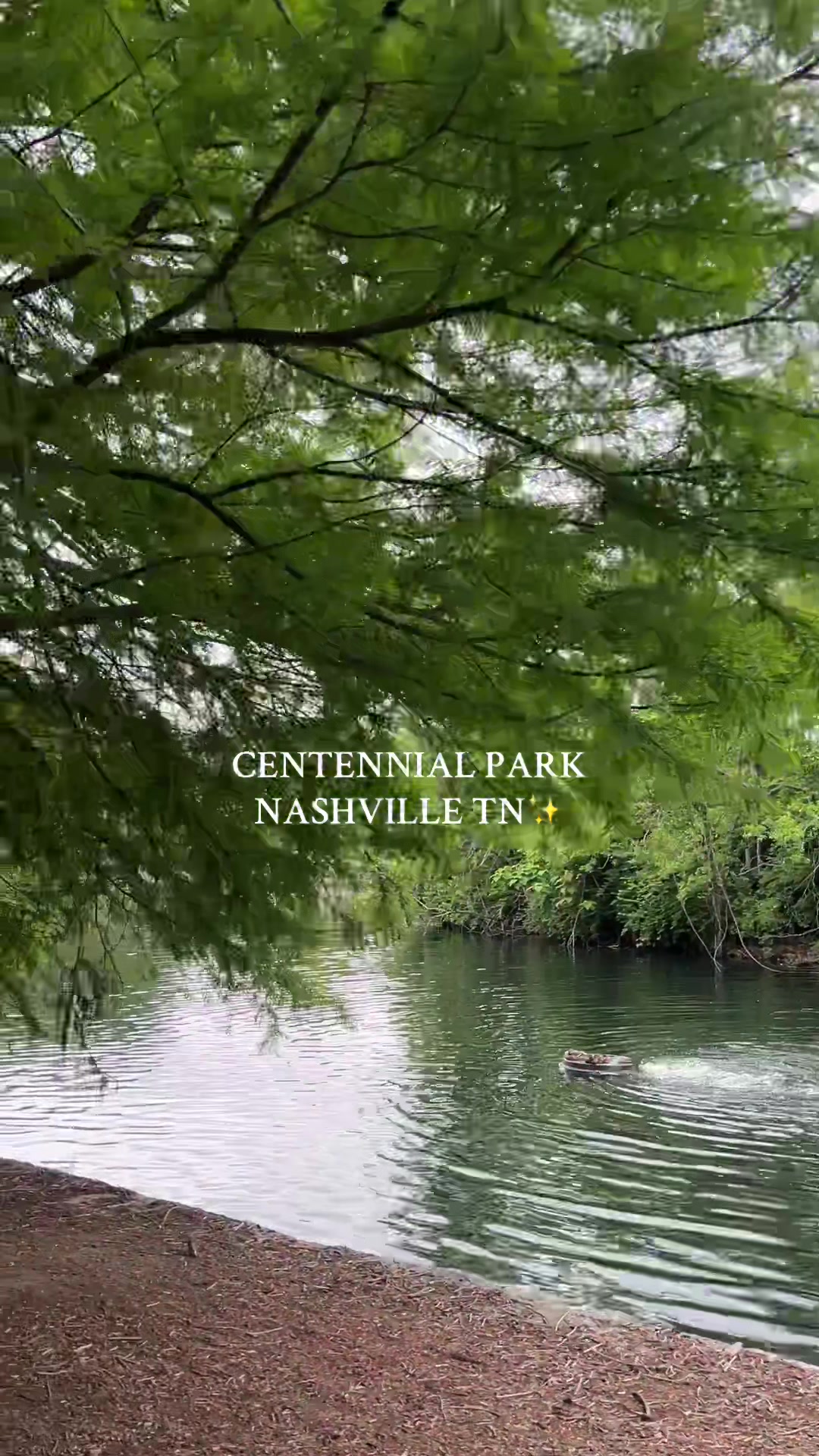 Nashville Centennial Park