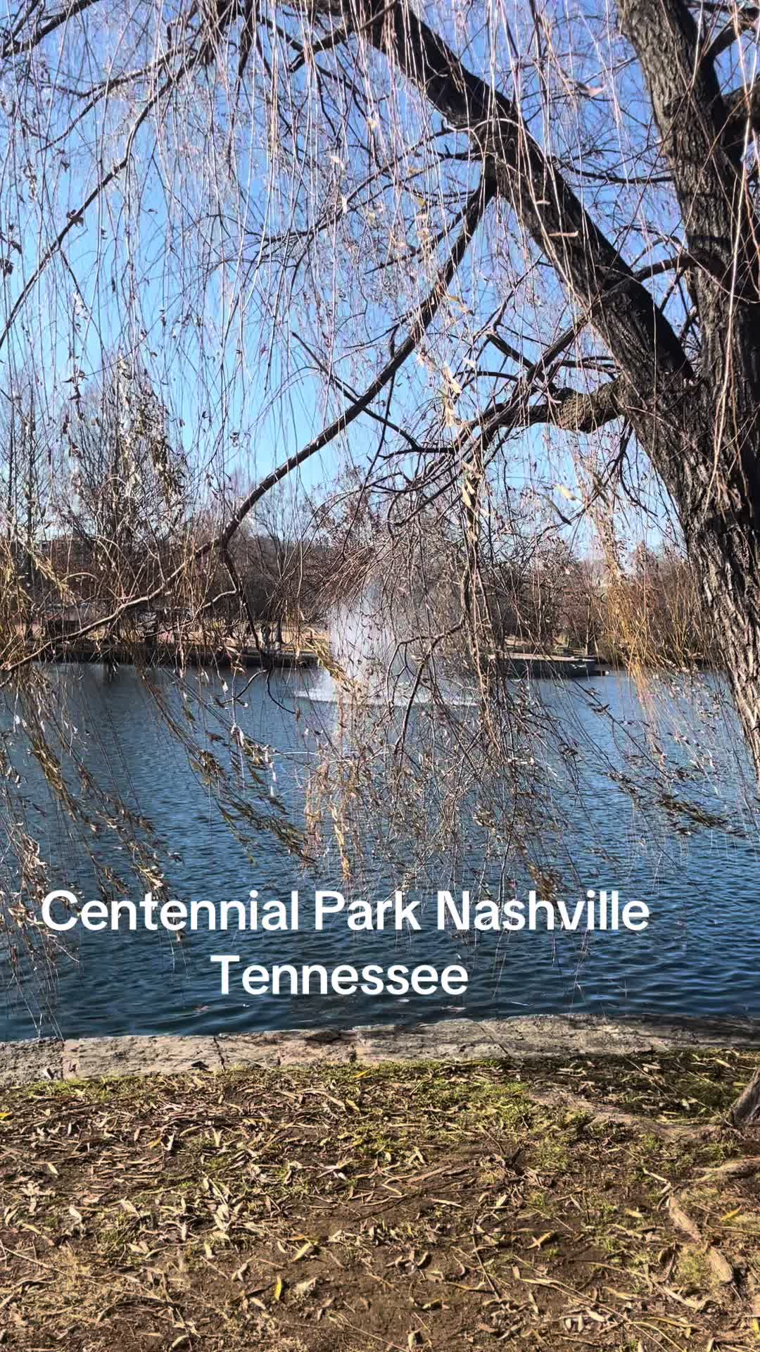 Nashville Centennial Park