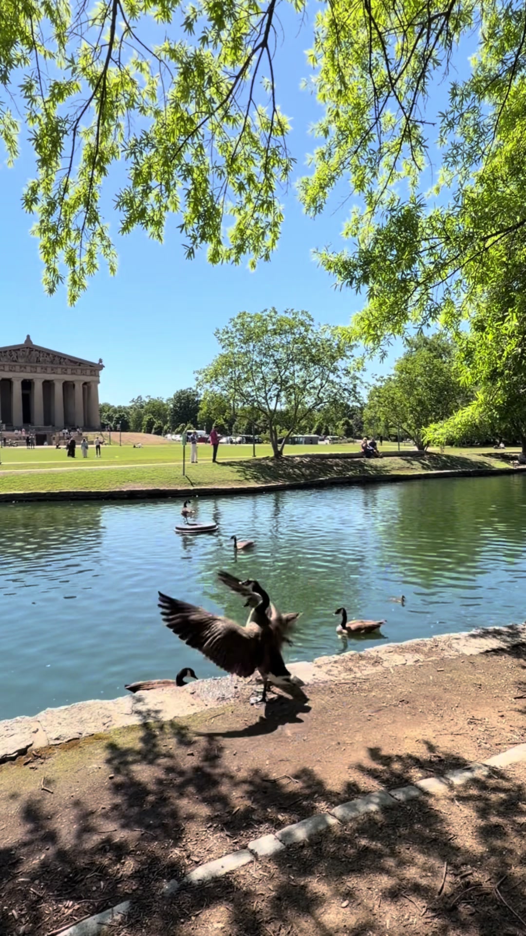 Nashville Centennial Park