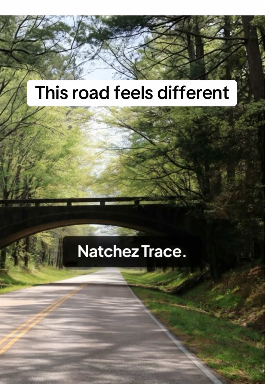 Natchez Trace Parkway