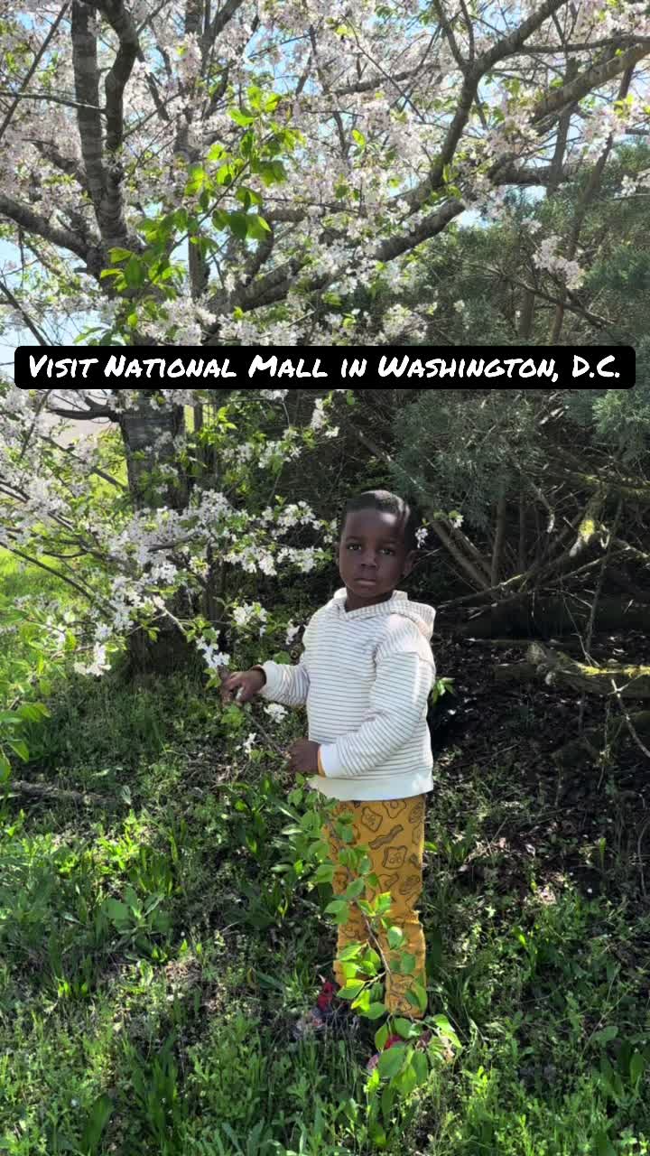 National Mall