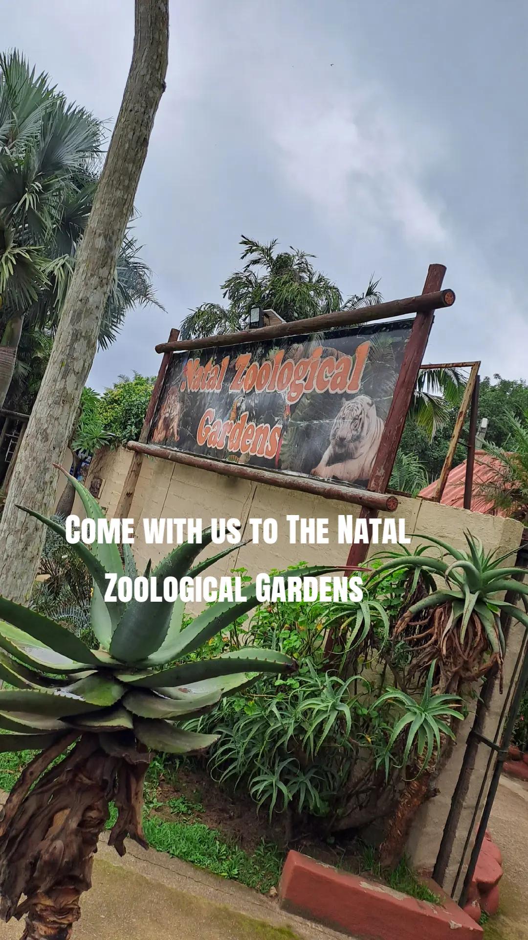 National Zoological Gardens of South Africa