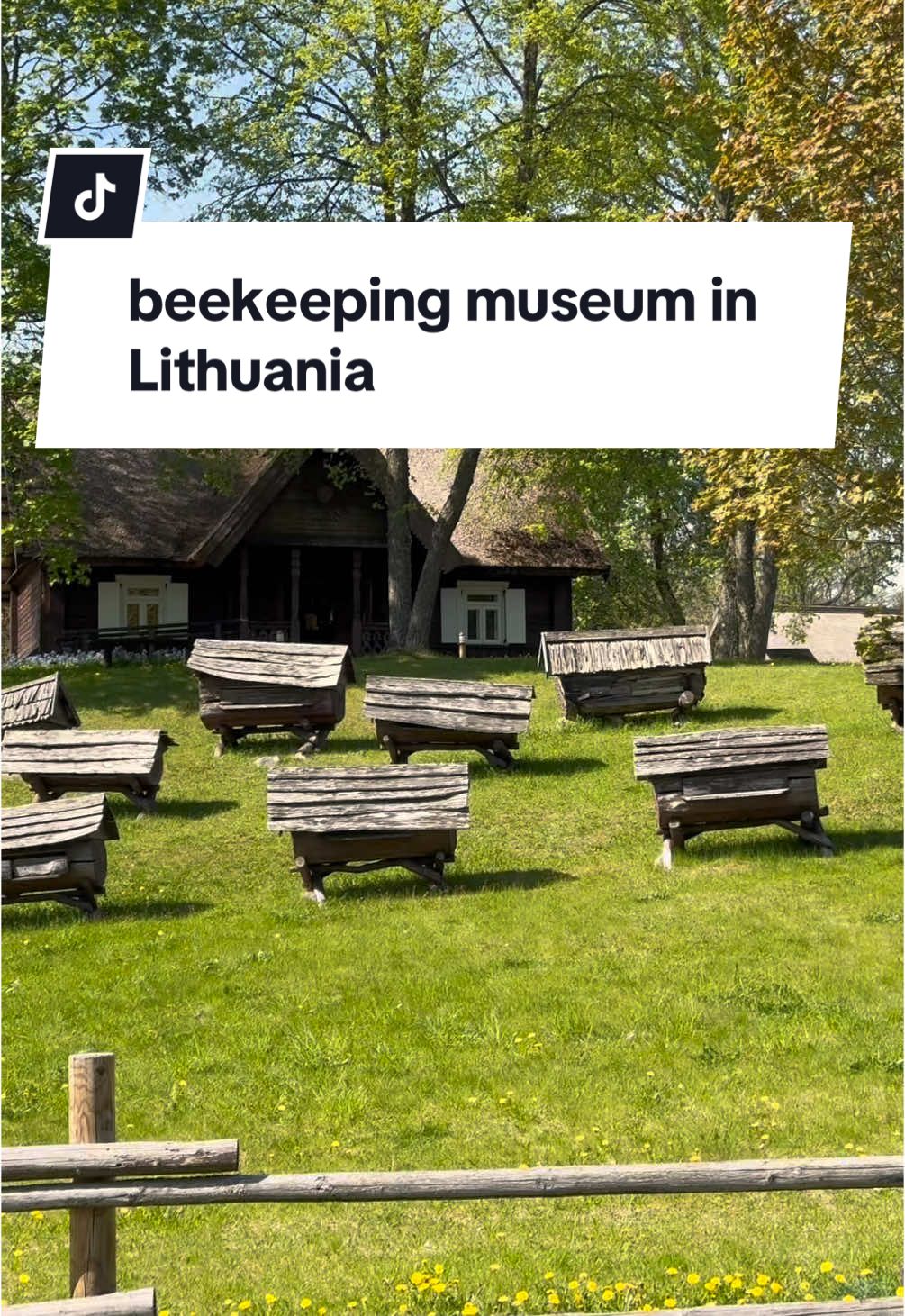 Национальный парк Аукштайтия (Aukštaitija National Park)