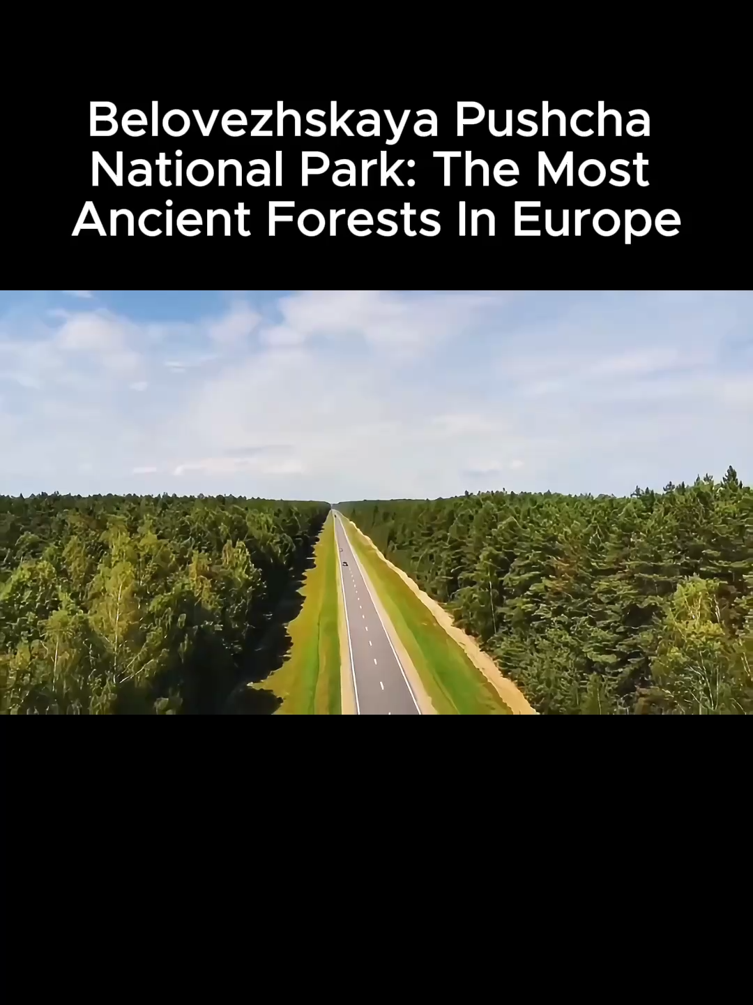 Национальный парк Беловежская пуща