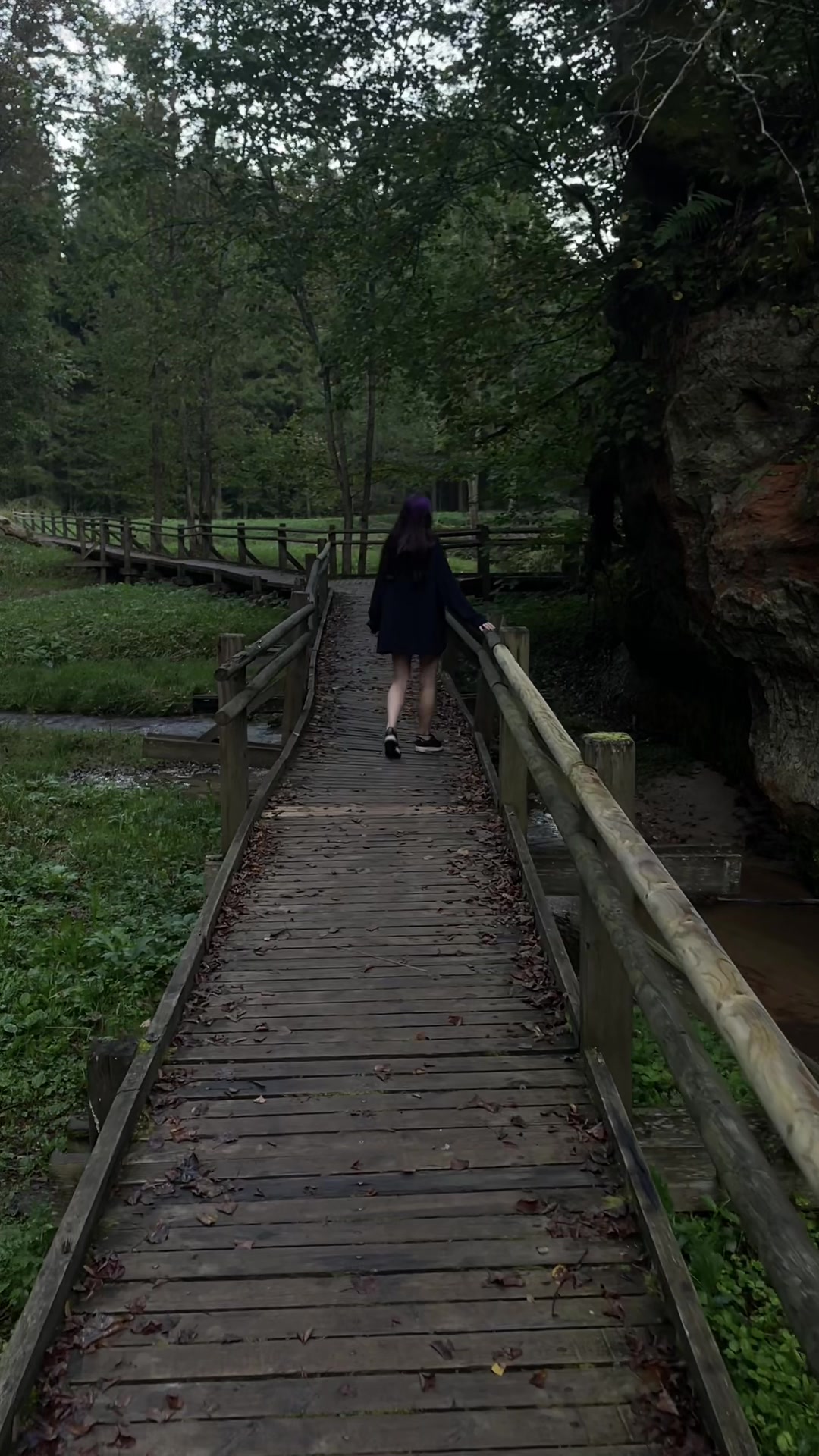 Национальный парк Гауя (Gauja National Park)