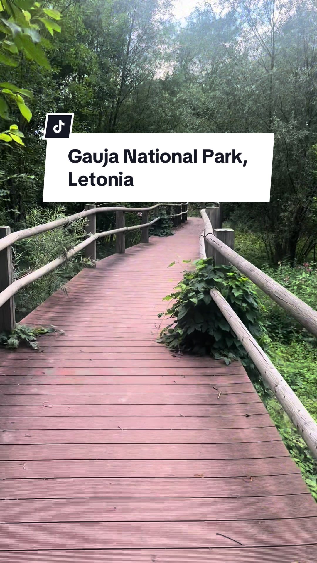 Национальный парк Гауя (Gauja National Park)