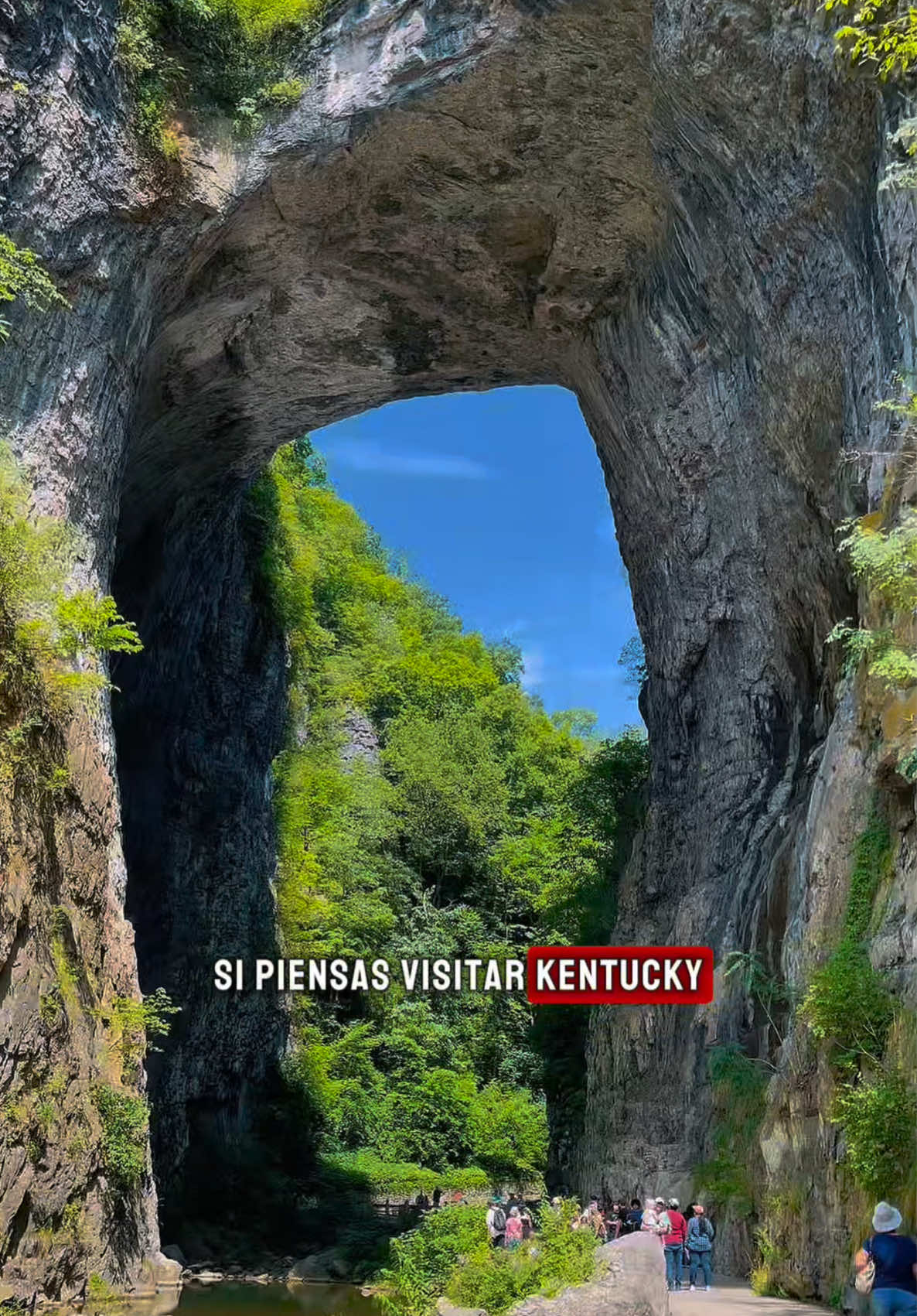Natural Bridge State Park