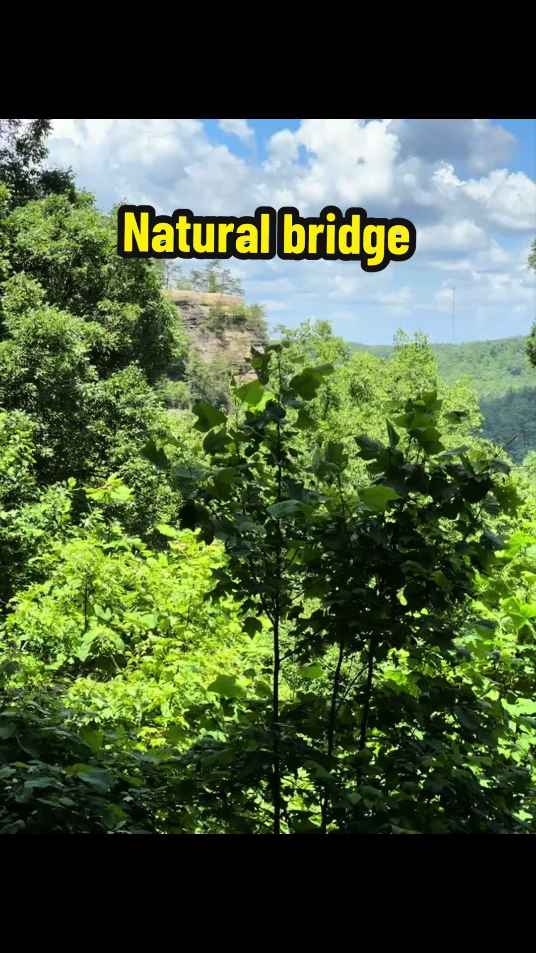 Natural Bridge State Resort Park