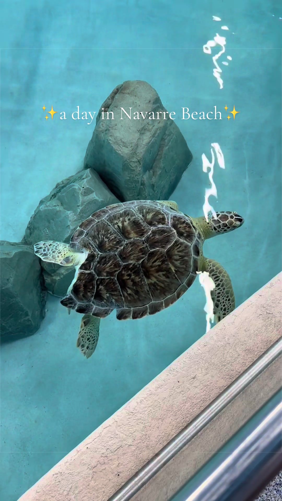 Navarre Beach Sea Turtle Conservation Center