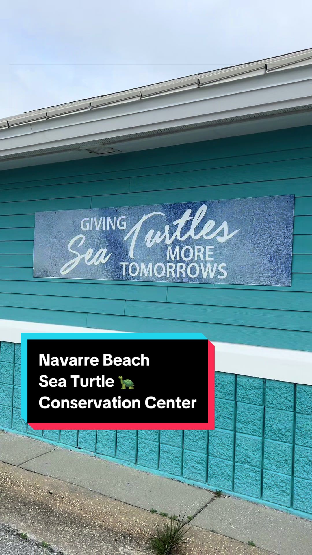 Navarre Beach Sea Turtle Conservation Center