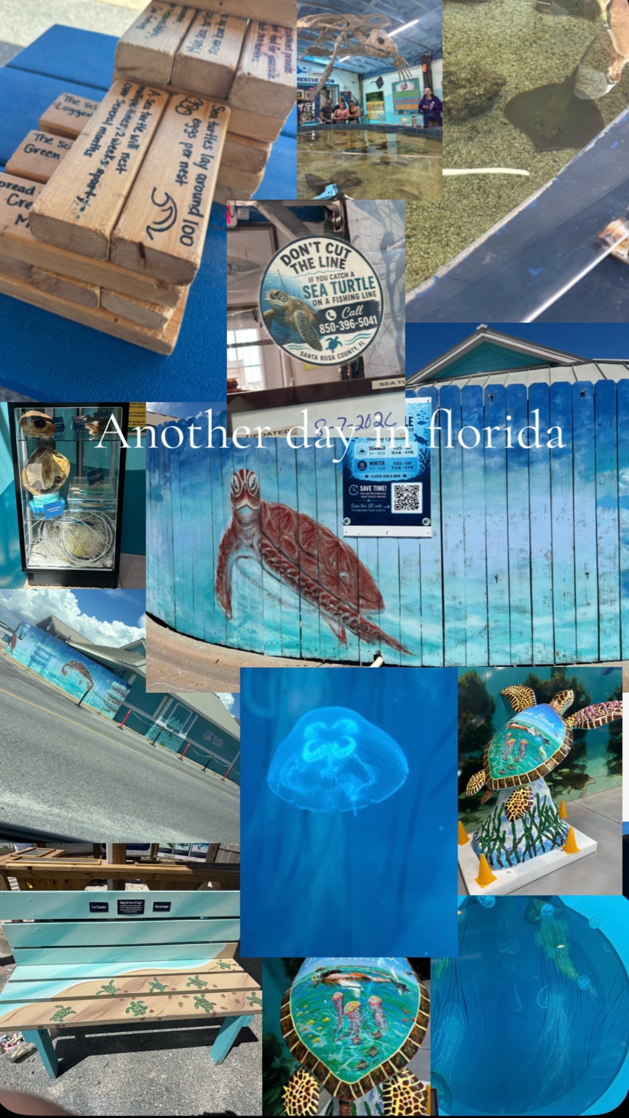 Navarre Beach Sea Turtle Conservation Center