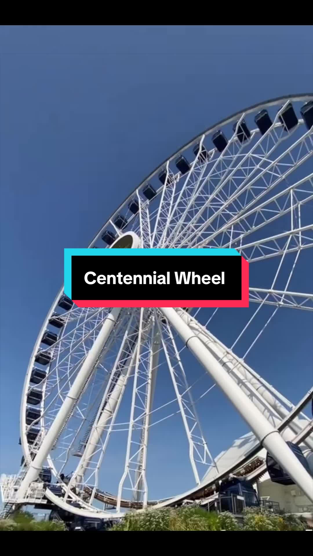 Navy Pier