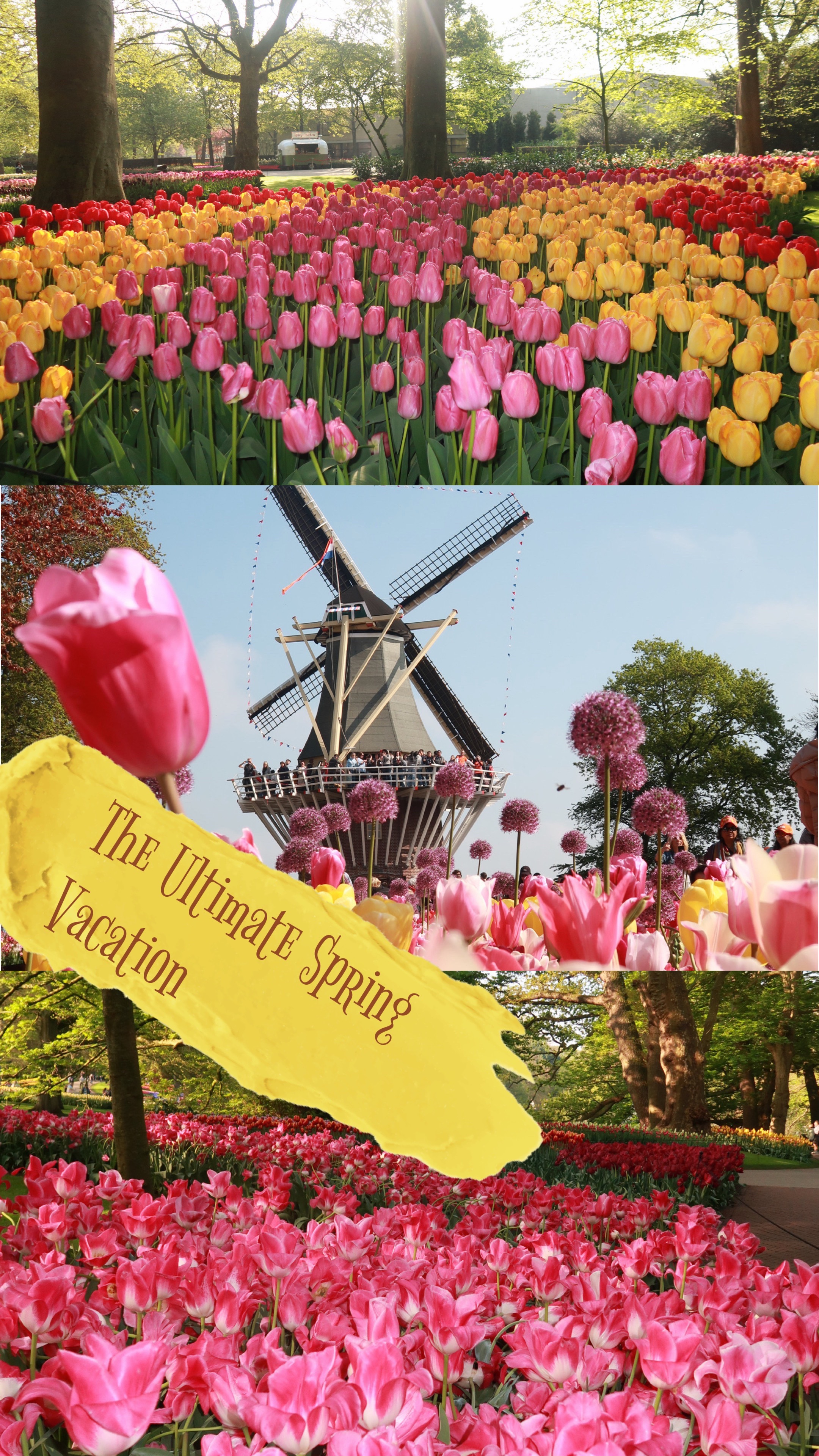 Netherlands