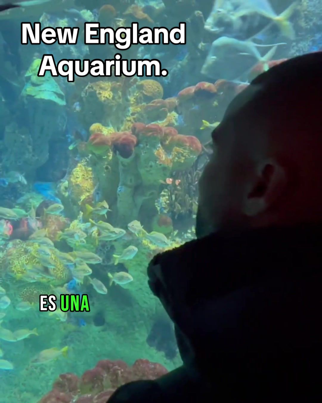 New England Aquarium