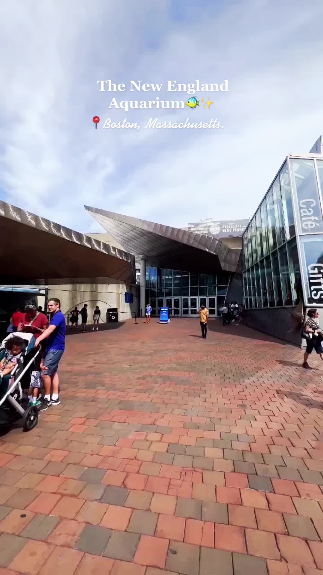 New England Aquarium