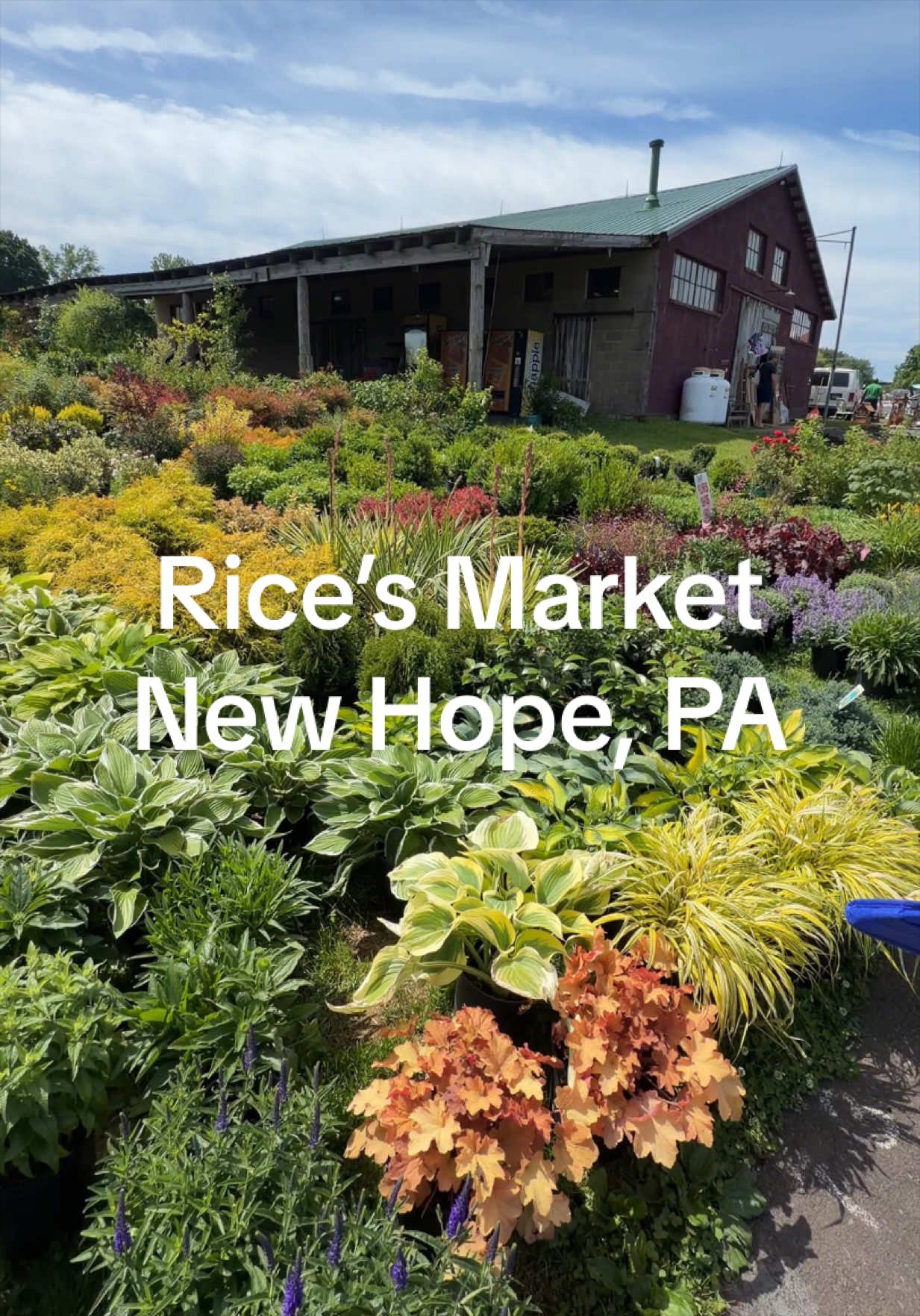 New Hope, PA