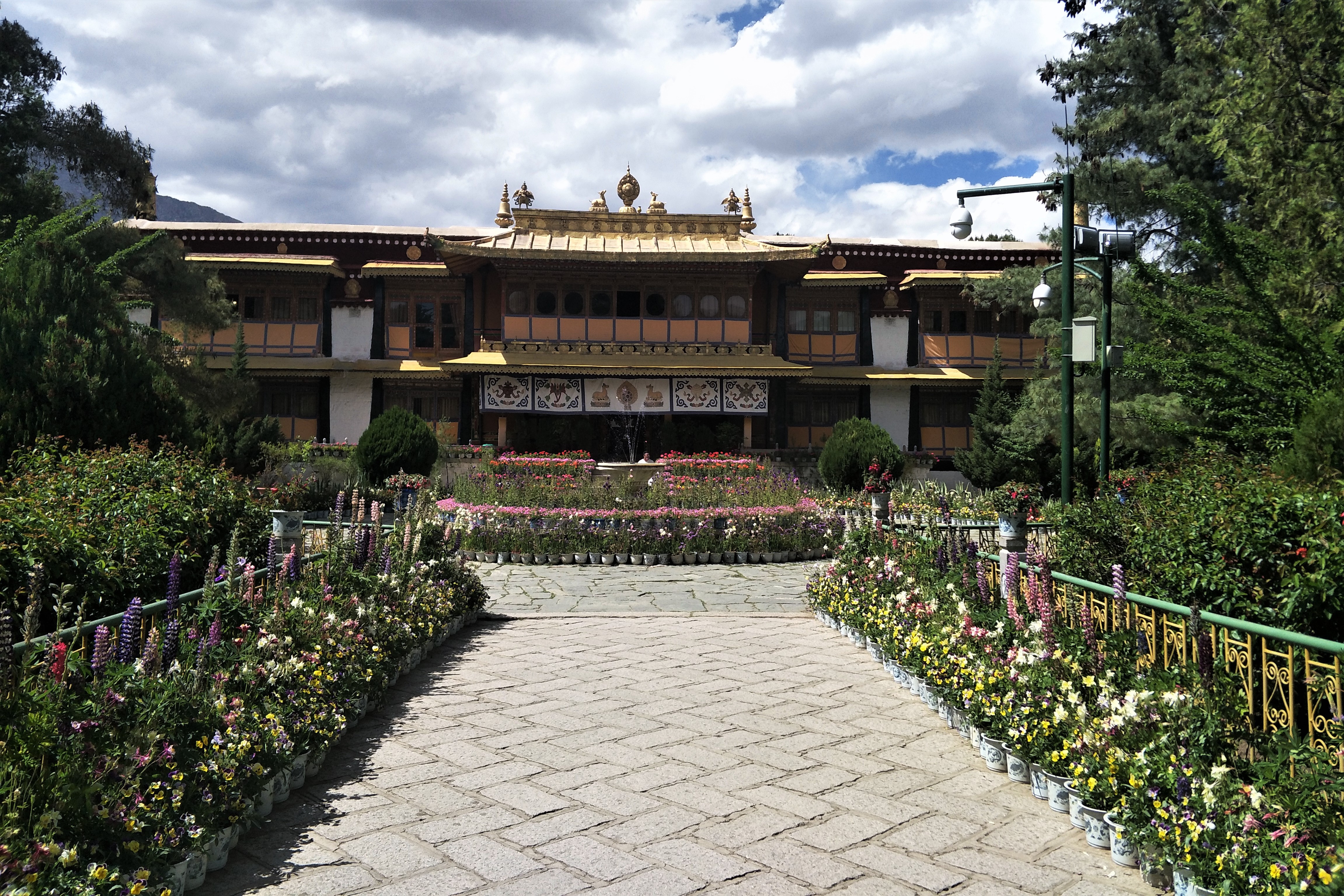 מסלול טיול בדרמסאלה למשפחה