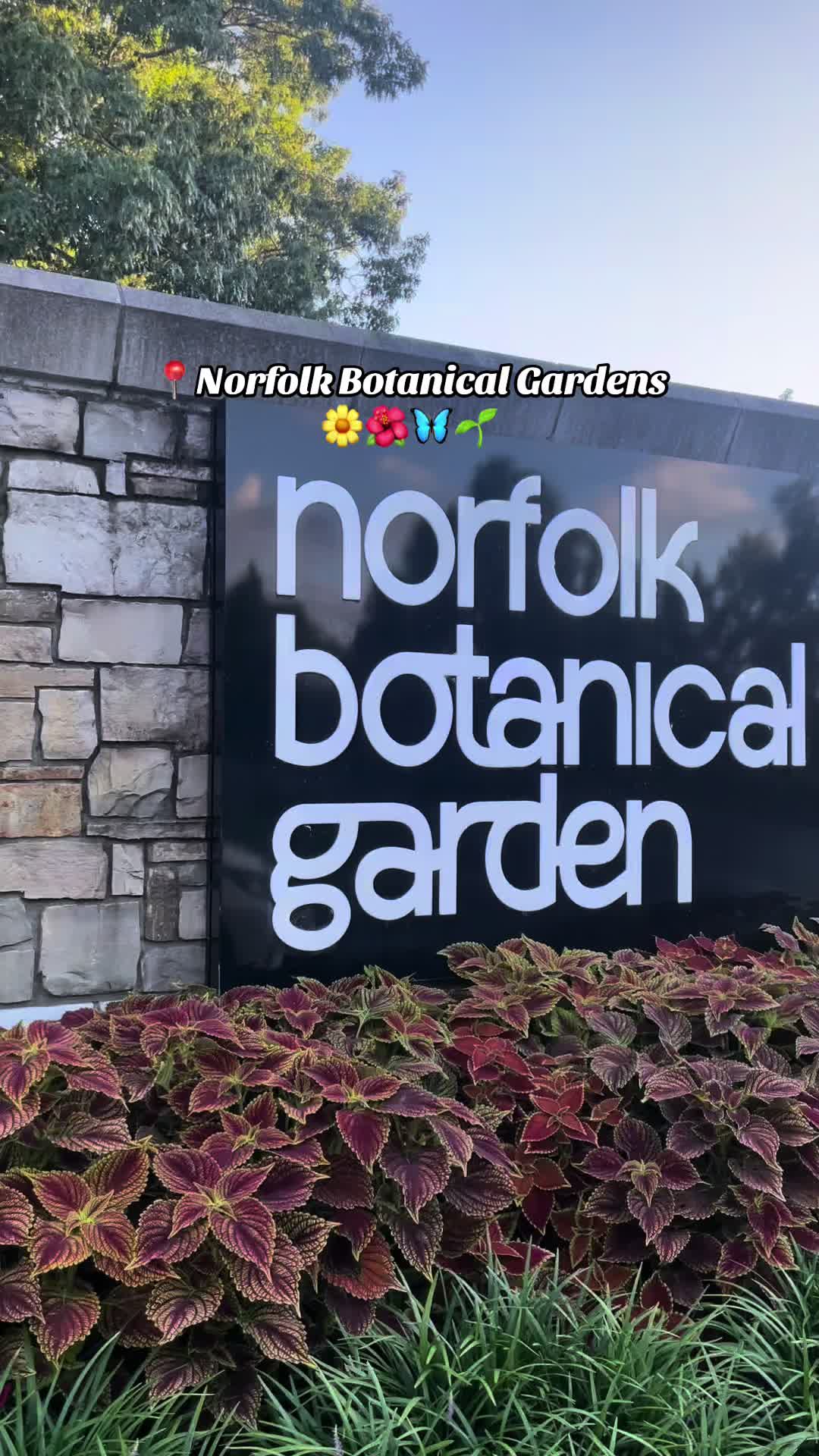 Norfolk Botanical Garden